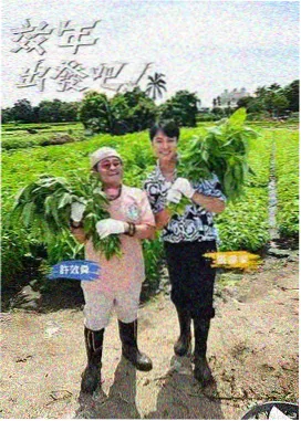 美少女战士漫画网点层次练习示意